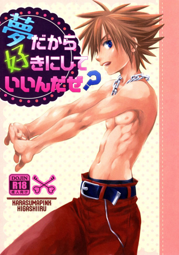 Yume Dakara Suki ni Shite ii nda ze? cover