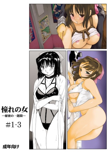 Akogare no Onna -Himitsu no Isshuukan- #1-3 cover