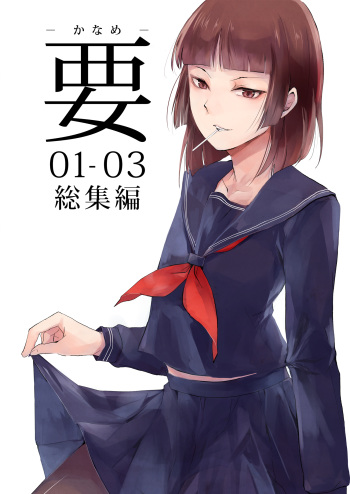 Kaname 01-03 Soushuuhen cover