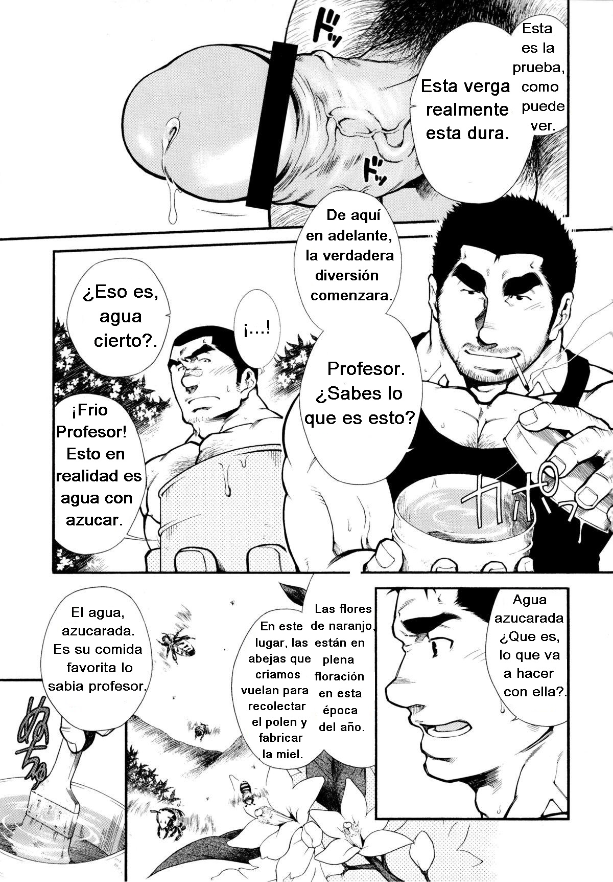 Miel de abeja macho page 7 full