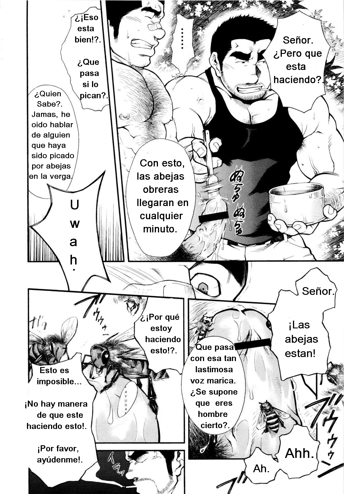Miel de abeja macho page 8 full
