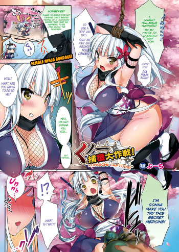 Kunoichi Keikaku Daisakusen! Kunoichi Capture! | Kunoichi Capture: The Master Plan to Capture the Female Ninja! cover