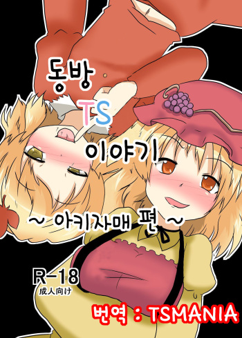 Touhou TS Monogatari ~Aki Shimai Hen~ cover
