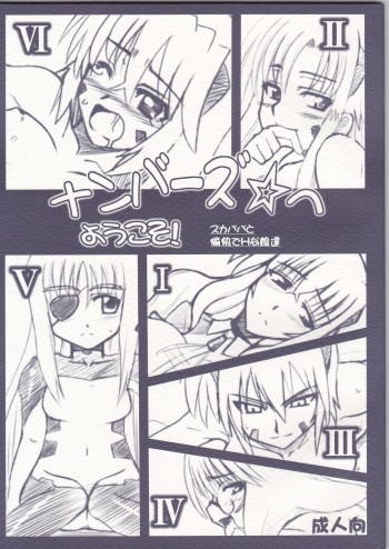 Numbers e Youkoso cover
