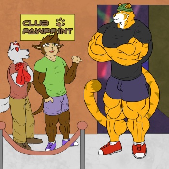 Bouncer tiger cover
