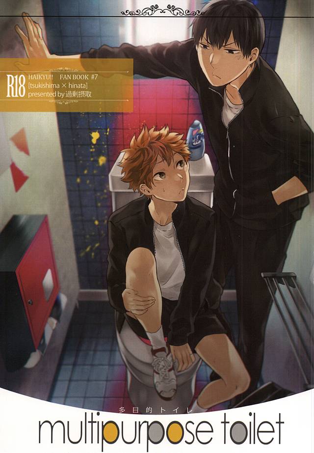 multipurpose toilet page 1 full
