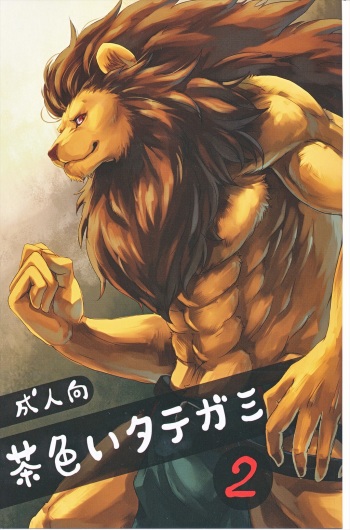 Chairoi Tategami 2 cover