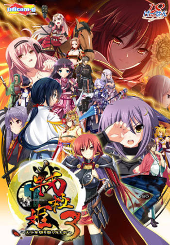 Sengoku Hime 3 ~Tenka o Kirisaku Hikari to Kage~ cover