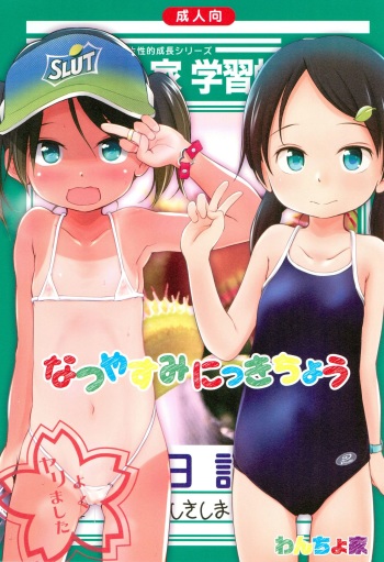Natsuyasumi Nikkichou cover