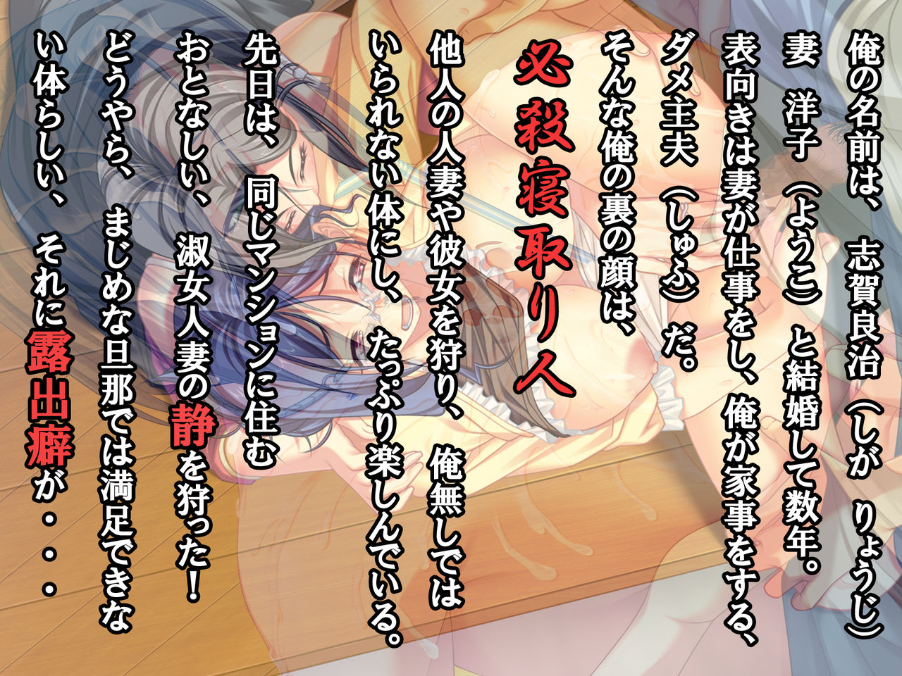 Hissatsu Netorinin Hitozumagari Hen Sono San page 3 full