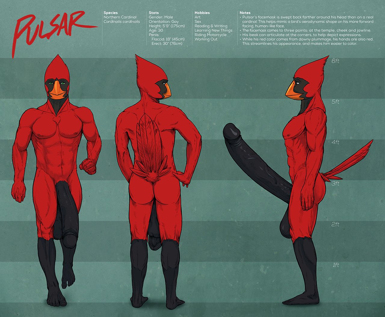 My favorite Pulsar pics page 2 full