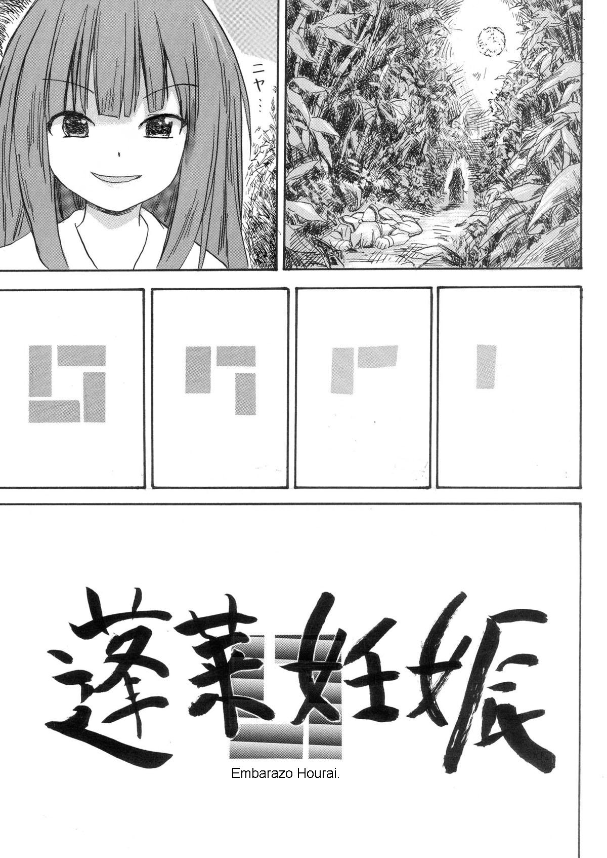 Hourai Ninshin | Embarazo Hourai page 3 full