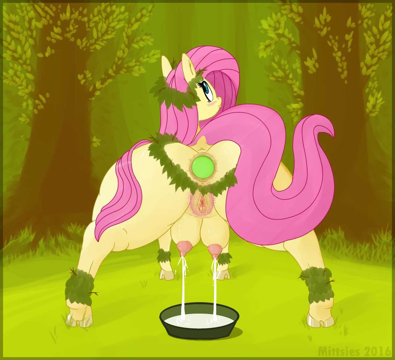 FlutterForest Folio page 1 full