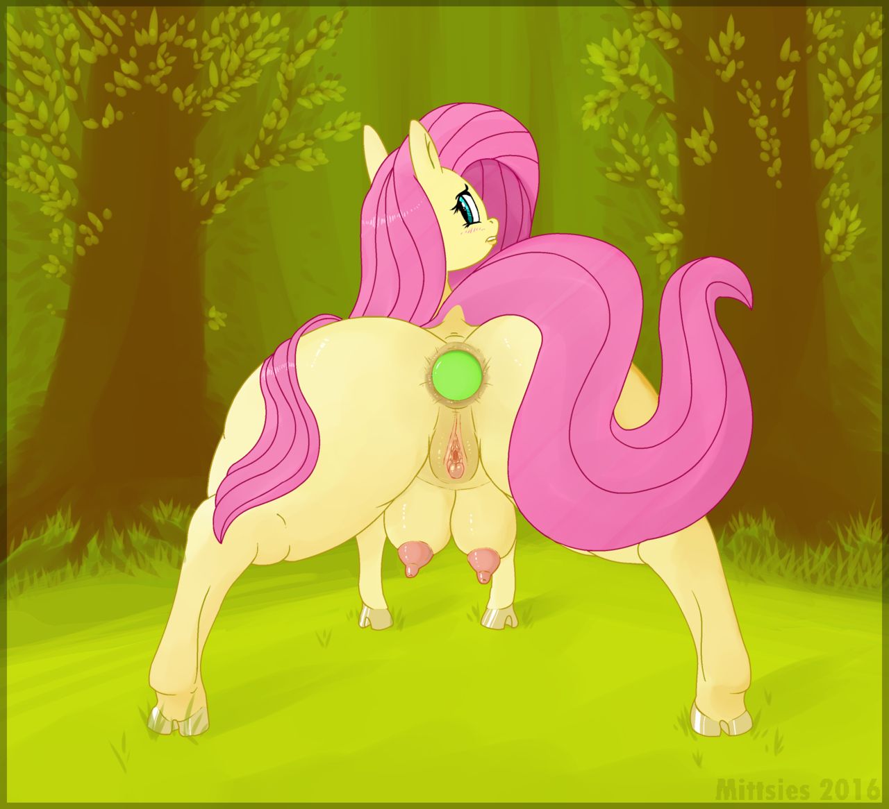 FlutterForest Folio page 4 full