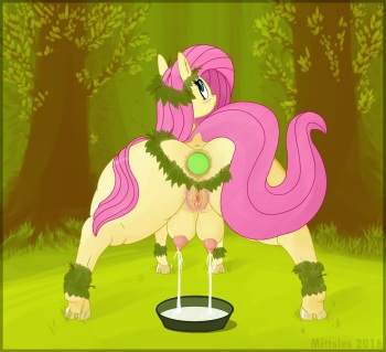 FlutterForest Folio cover