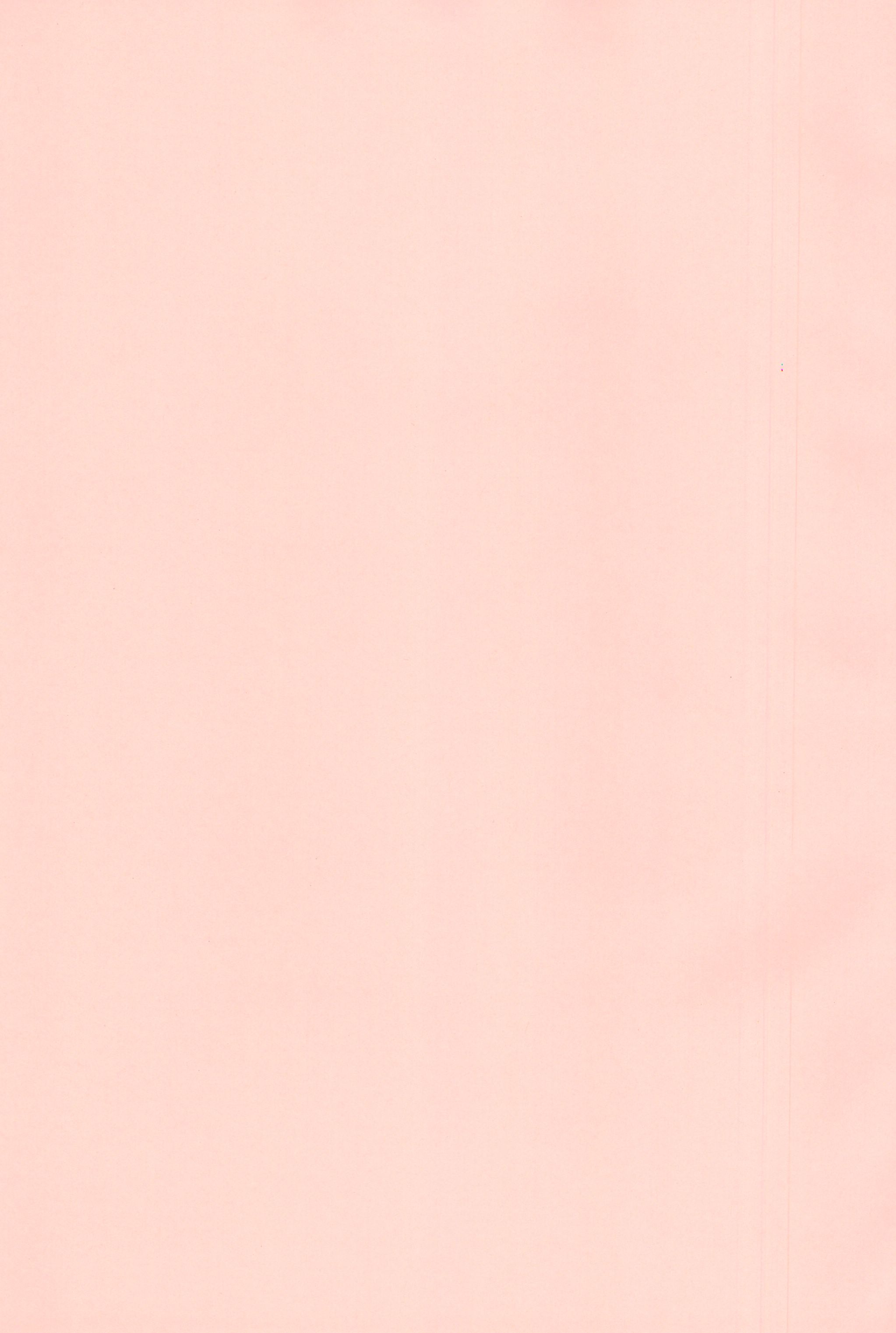 Nekokan Usagikan page 3 full