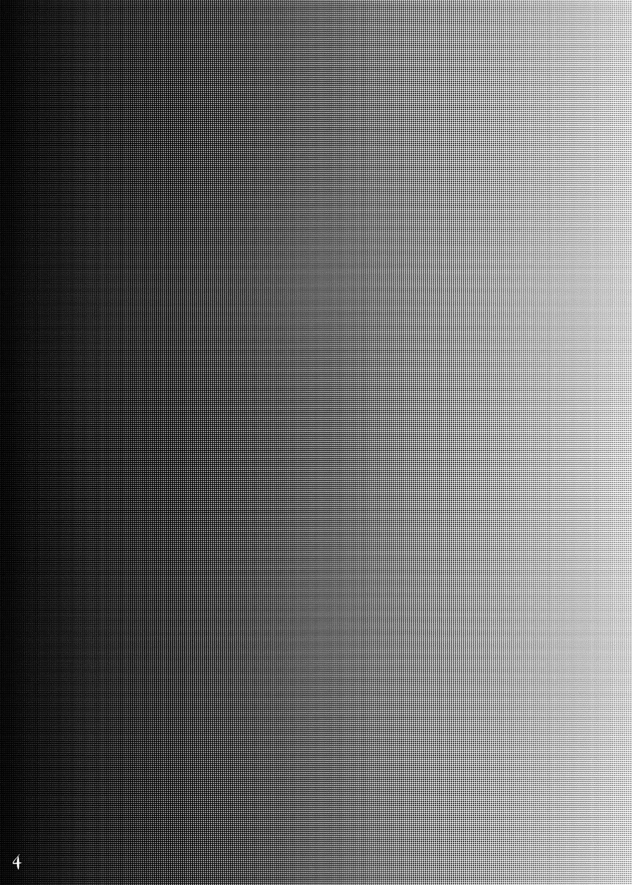 SokuHame Bitchinpo page 3 full