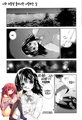 Boku to Imouto no Futarikiri de Saiai no Hi cover