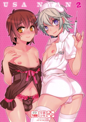 Usa Nyan 2 cover