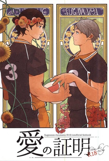 Ai no Shoumei cover