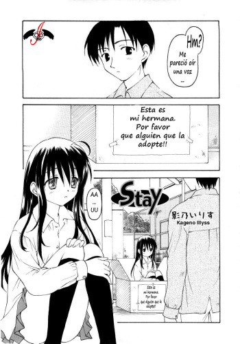 Stay cover