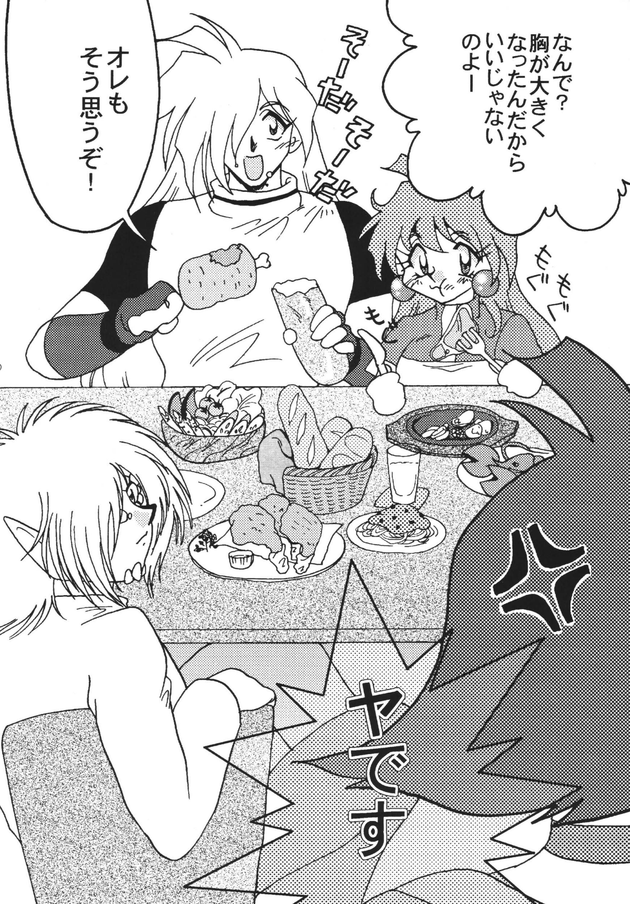 SLAYERS ADULT 10 page 6 full