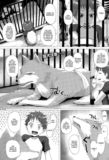 Heisei Hourouki | Chronicle of a Heisei Pleasuring Wolf cover