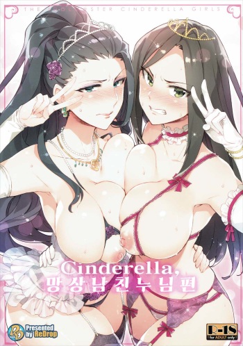 Cinderella, Mousou Kareshi Anego Hen cover