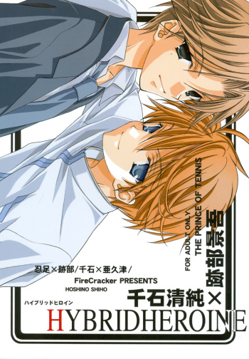 Hybrid Heroine cover