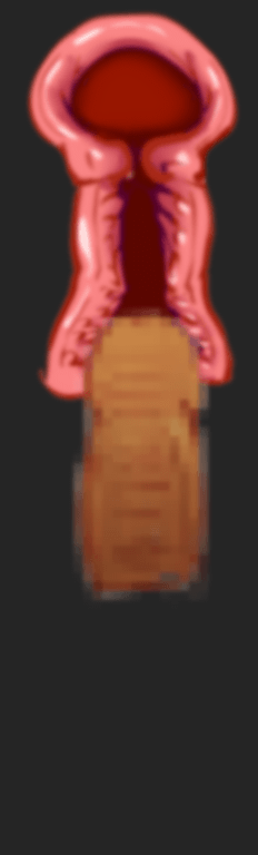 Tokkoo Iinkai Ouka RPG page 2 full