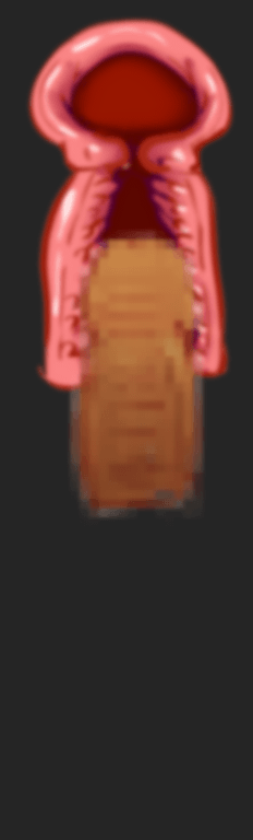 Tokkoo Iinkai Ouka RPG page 3 full