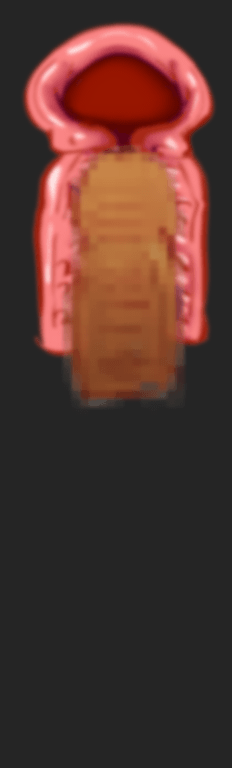 Tokkoo Iinkai Ouka RPG page 4 full