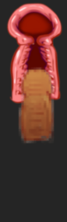 Tokkoo Iinkai Ouka RPG page 5 full