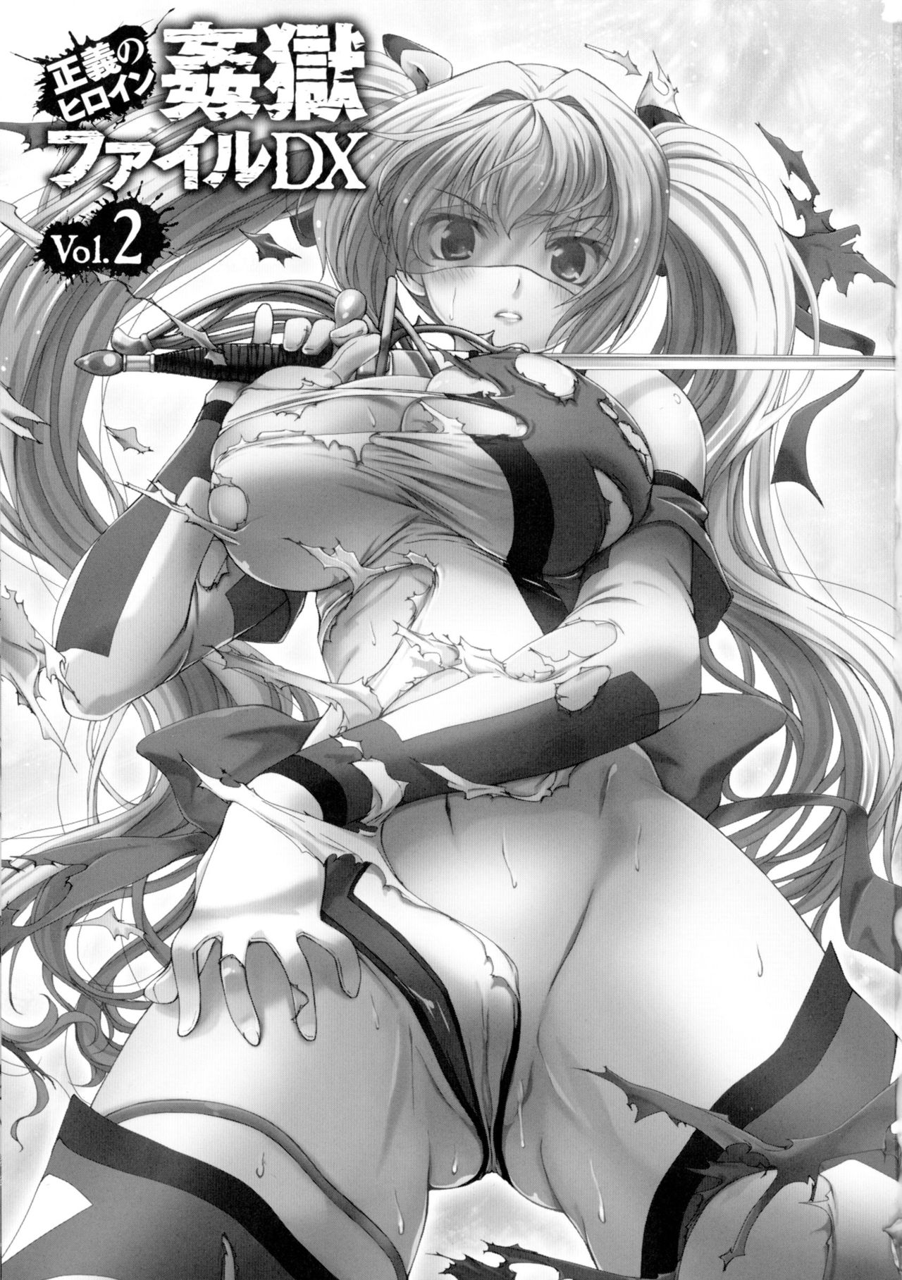 Seigi no Heroine Kangoku File DX Vol. 2 page 3 full