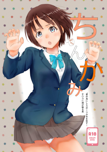 Chinkami cover