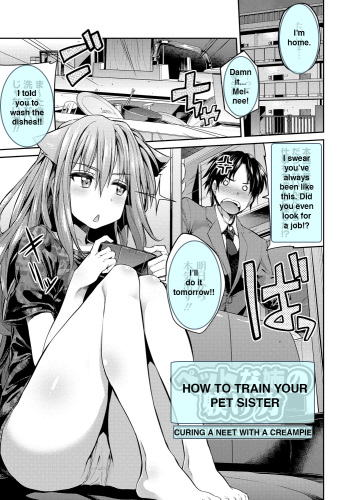Pet na Ane no Shitsukekata | How To Train Your Pet Sister cover