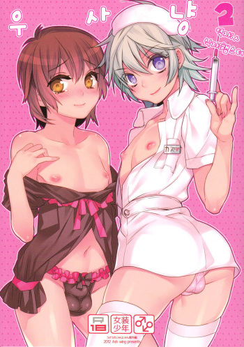 Usa Nyan 2 cover
