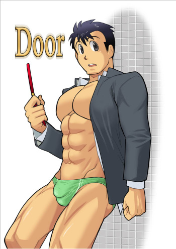 Door cover