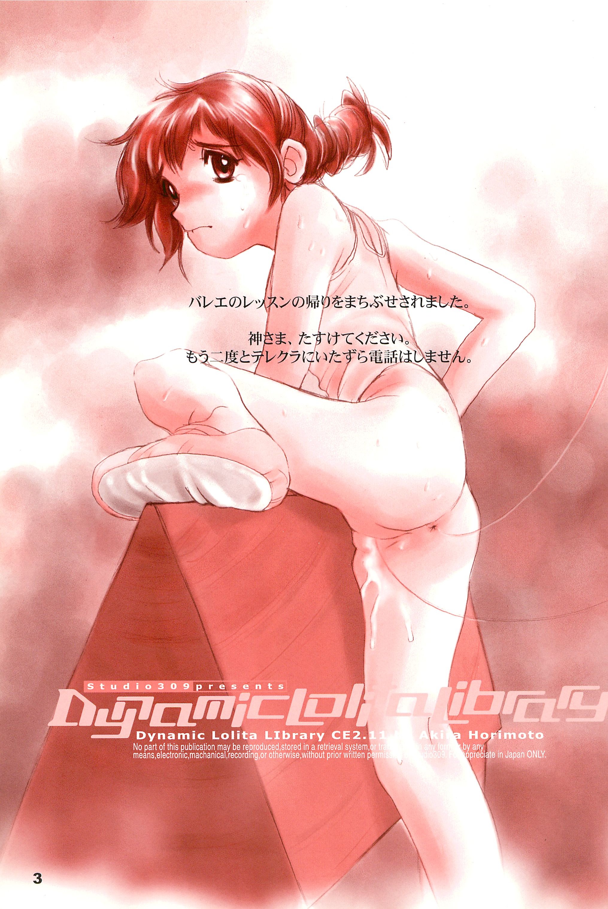 Dynamic Lolita Library CE2.11 page 3 full