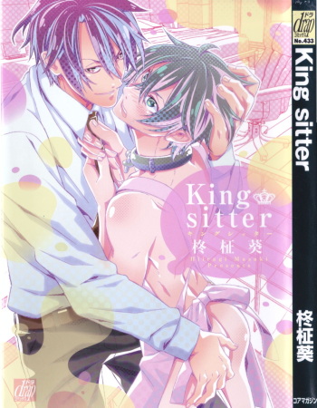 King sitter cover
