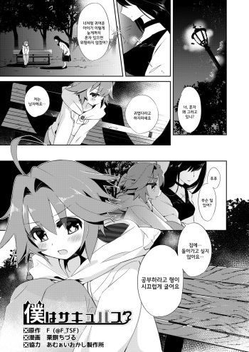 Boku wa Succubus? cover