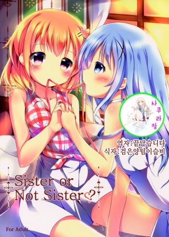 Sister or Not Sister?? cover