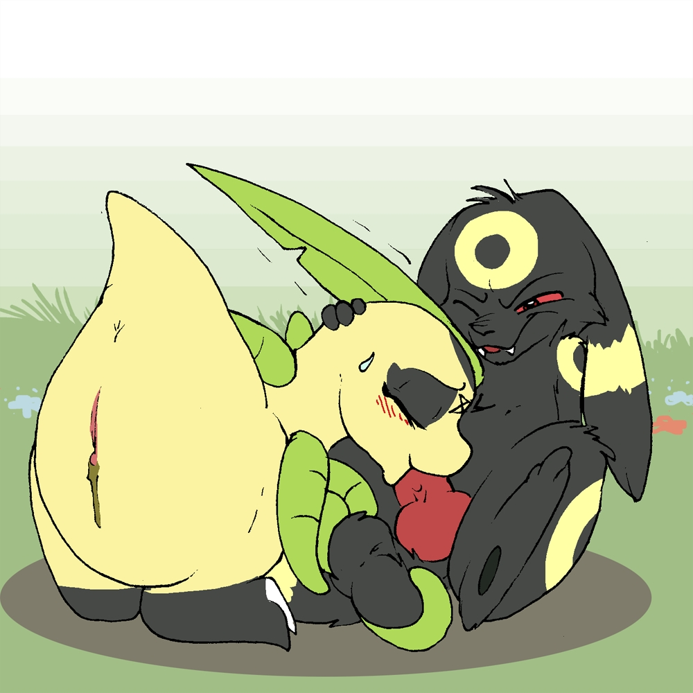 Nicobay Flash page 4 full