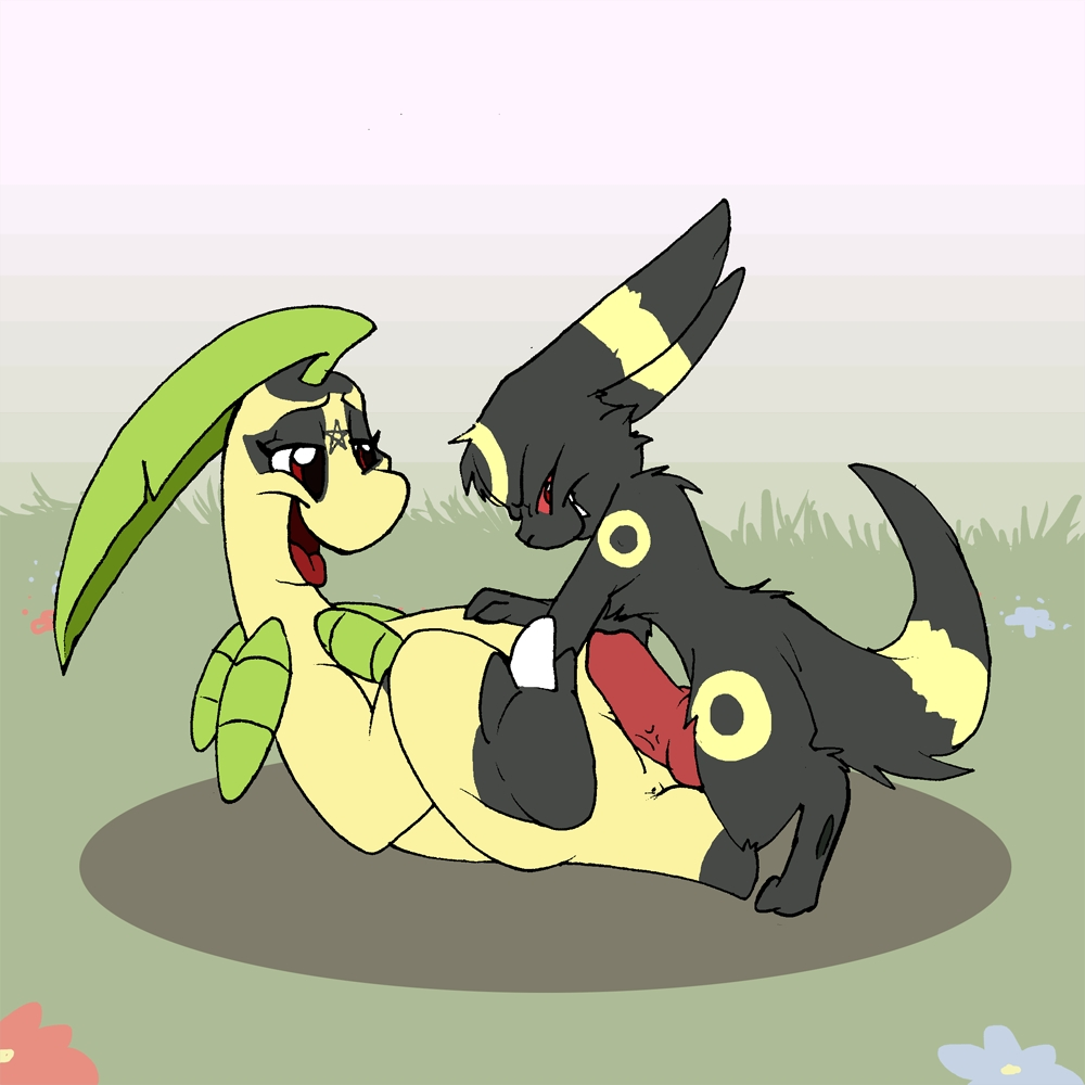 Nicobay Flash page 6 full