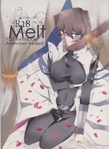 Melt cover