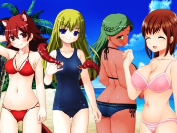 Natsu da Mizugi da! Succubus Action! cover