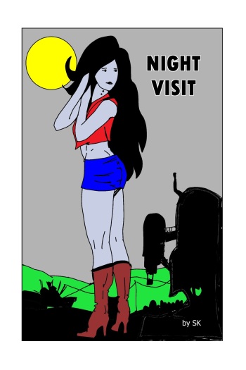 Night  Visit cover