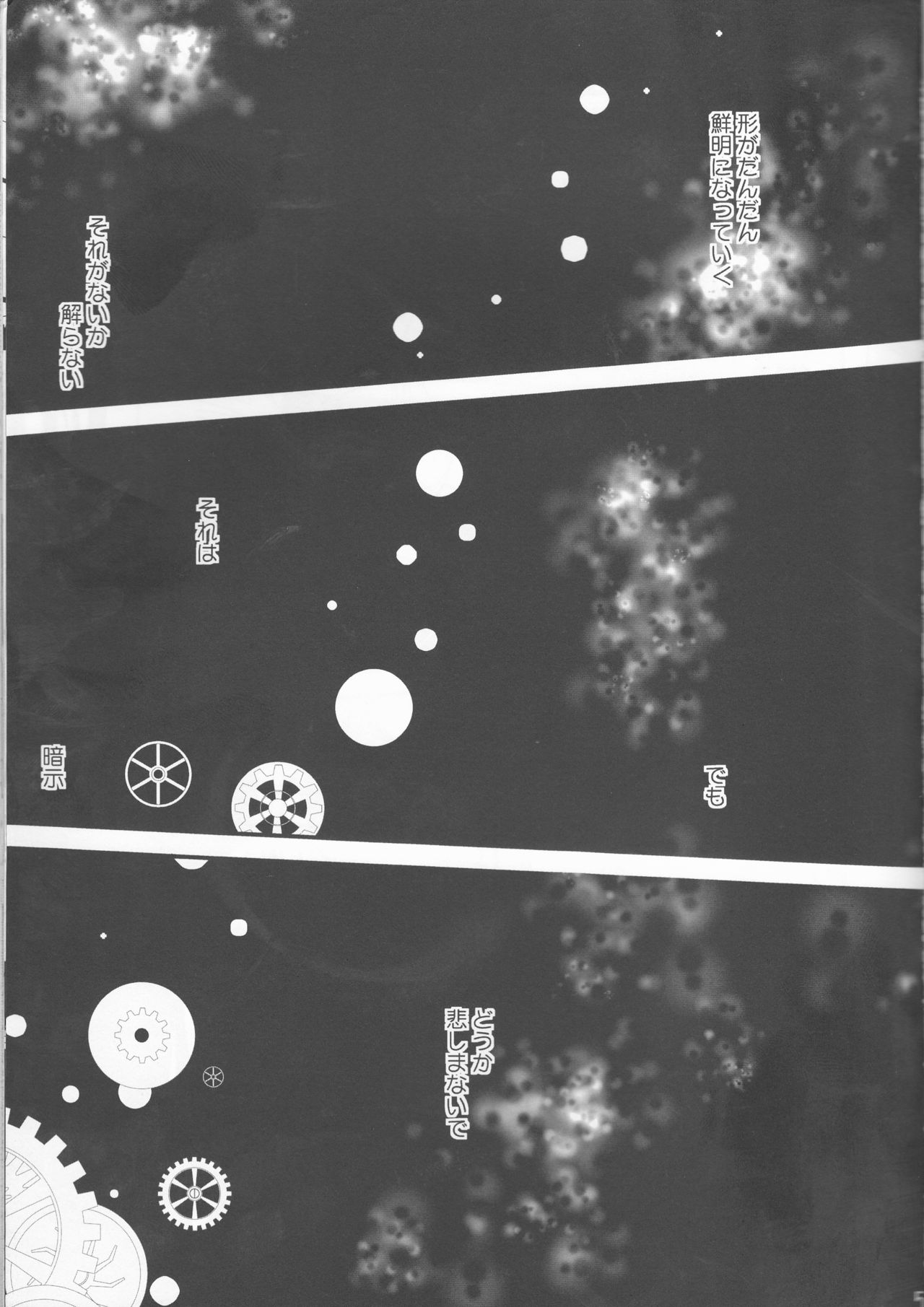 Dimorphotheca page 5 full
