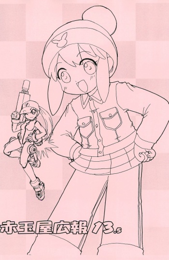 Akadamaya Kouhou 13.5 cover