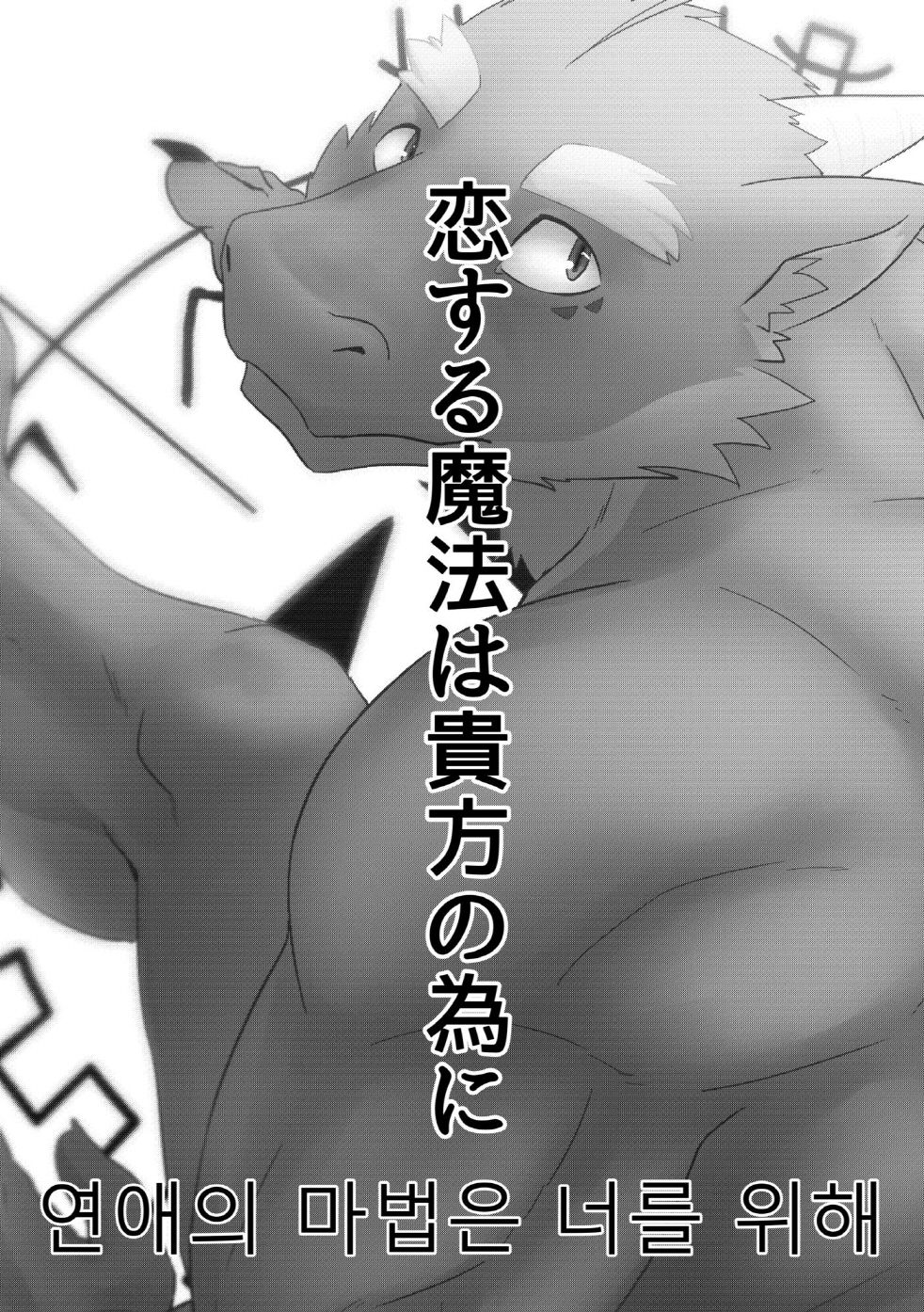 Koisuru Mahou wa Anata no Tame ni page 2 full